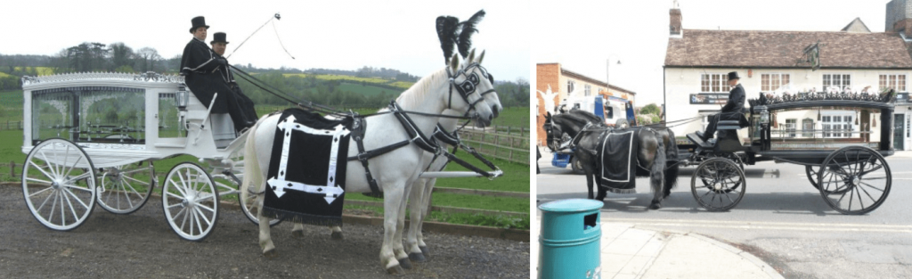 horse hearse