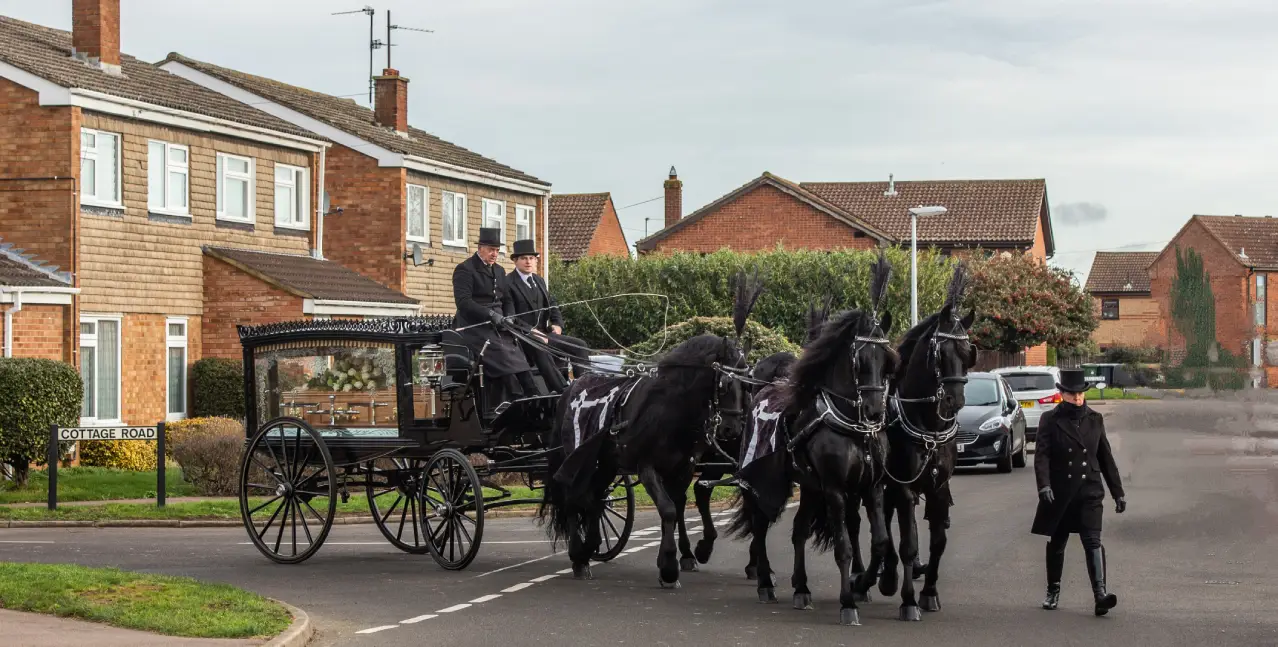 horse hearse